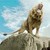 JadeStoneDragon :iconjadestonedragon: