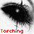 JadeTigerRose :iconjadetigerrose: