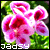:iconjadsy: