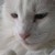 :iconjadynsummers: