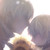 :iconjaehyehan: