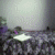 :iconjaelmonteiro: