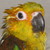 :iconjafar13: