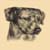 :iconjafpollyanimallover: