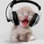 :iconjaggy01: