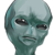 :iconjagtas: