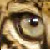 :iconjaguarwarrior: