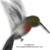 :iconjaided1-8281963: