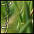 :iconJaina04:
