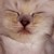 :iconjairo8008: