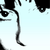:iconjakarte: