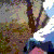 :iconjake-juice: