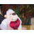 :iconjake99:
