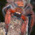 :iconjakeheili:
