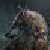 :iconjakemaverin: