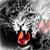 :iconjakhont: