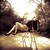 :iconjallenphotography: