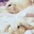 :iconjamande: