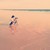 :iconjames-dinis: