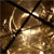 :iconjames-wheeldon: