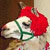 :iconjames25300: