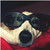 :iconjames2t3: