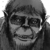 James7100 :iconjames7100:
