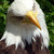JamesAlder :iconjamesalder: