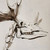:iconjamesbaxter: