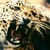 :iconjamesdeviantregular: