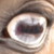 :iconjamesjaystark: