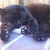 :iconjameskeithv28: