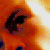 :iconJamesLykins: