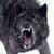 :iconjamesnomoon: