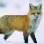 :iconjamesont: