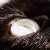 :iconjamestetley: