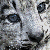:iconjamie103:
