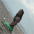 :iconjamieb44: