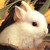 :iconjamiegrant: