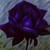 :iconjamielynnofgothic: