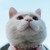 jamith93 :iconjamith93: