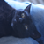 :iconjammyjk: