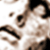 :iconjamshyd: