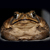 :iconjan-hoffmann: