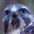 :iconjancphotography: