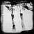 :iconjane-molko:
