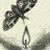 Jane-Moth :iconjane-moth: