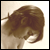 :iconjaneinsane: