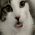 :iconjanellepire: