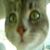 :iconjaneo-the-waneo: